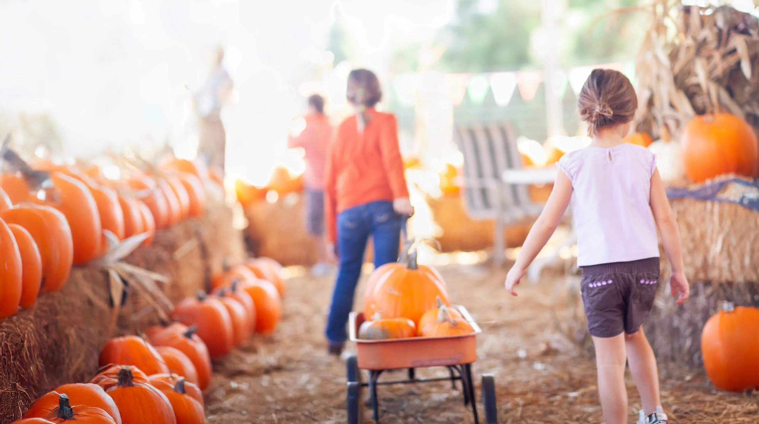 Children pulling a wagon of pumpkins at a farm