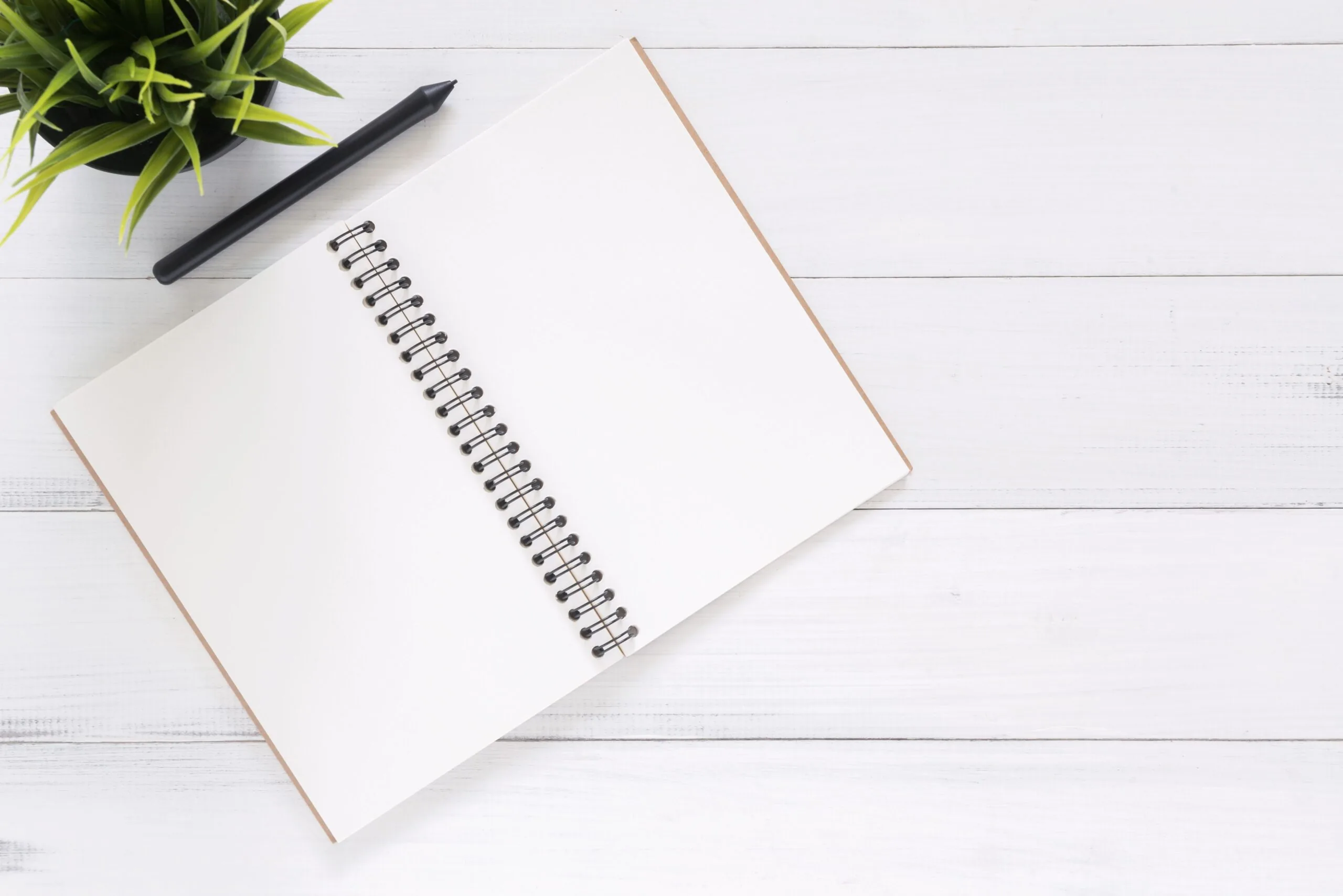 Open blank spiral notebook and black pen on a white desk beside a green plant.